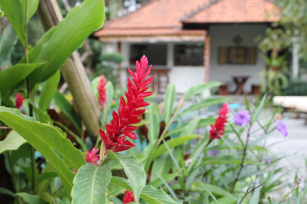 Villa Sindu Ubud Buitenkant foto