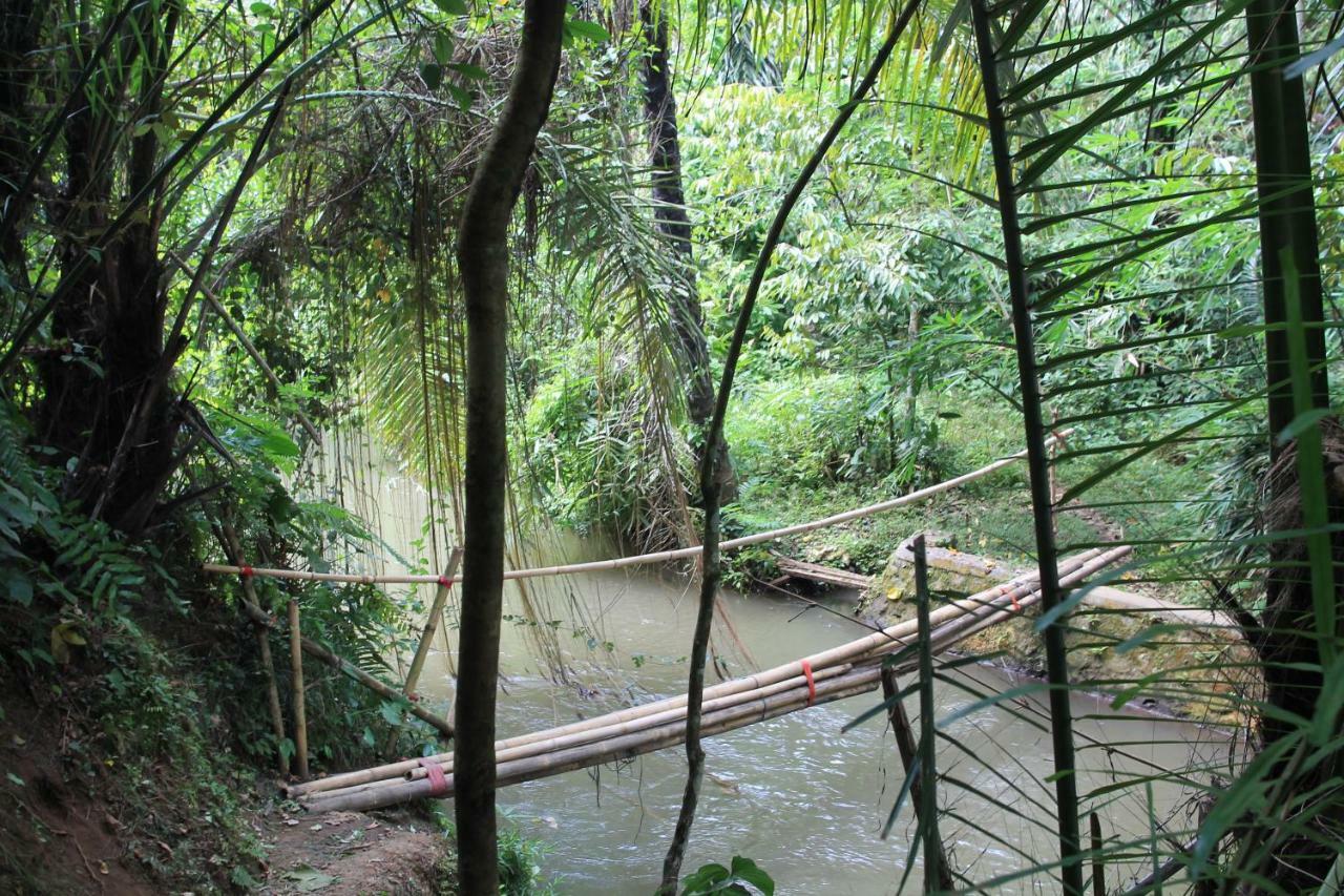 Villa Sindu Ubud Buitenkant foto